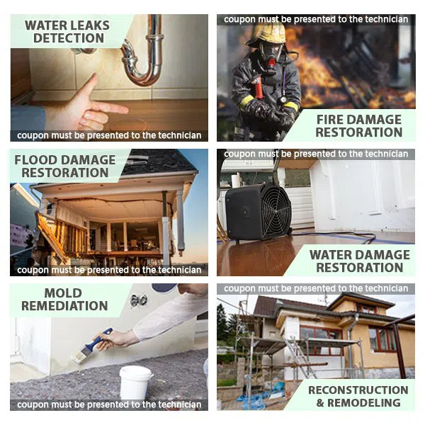 Hialeah Restoration Company Hialeah, FL 786-373-1030 - coupon