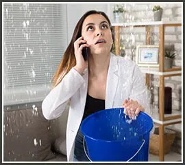Hialeah Restoration Company Hialeah, FL 786-373-1030 - miami-dade