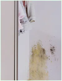 Hialeah Restoration Company Hialeah, FL 786-373-1030 - sb-services-03