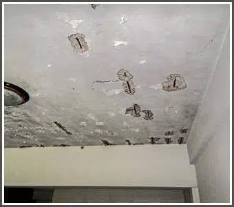 Hialeah Restoration Company Hialeah, FL 786-373-1030 - water-leaks-detection